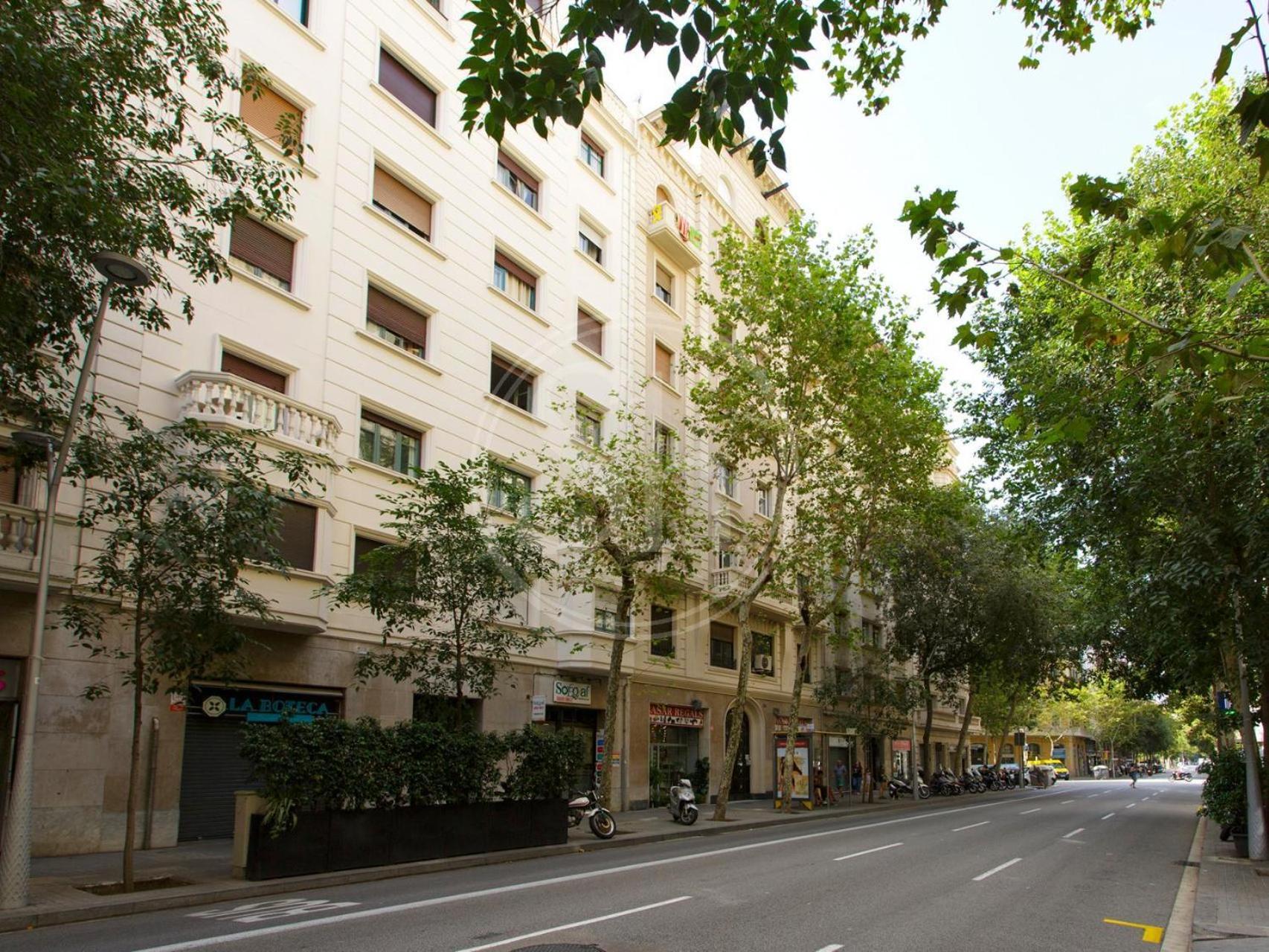 Appartement Luminescent Valencia